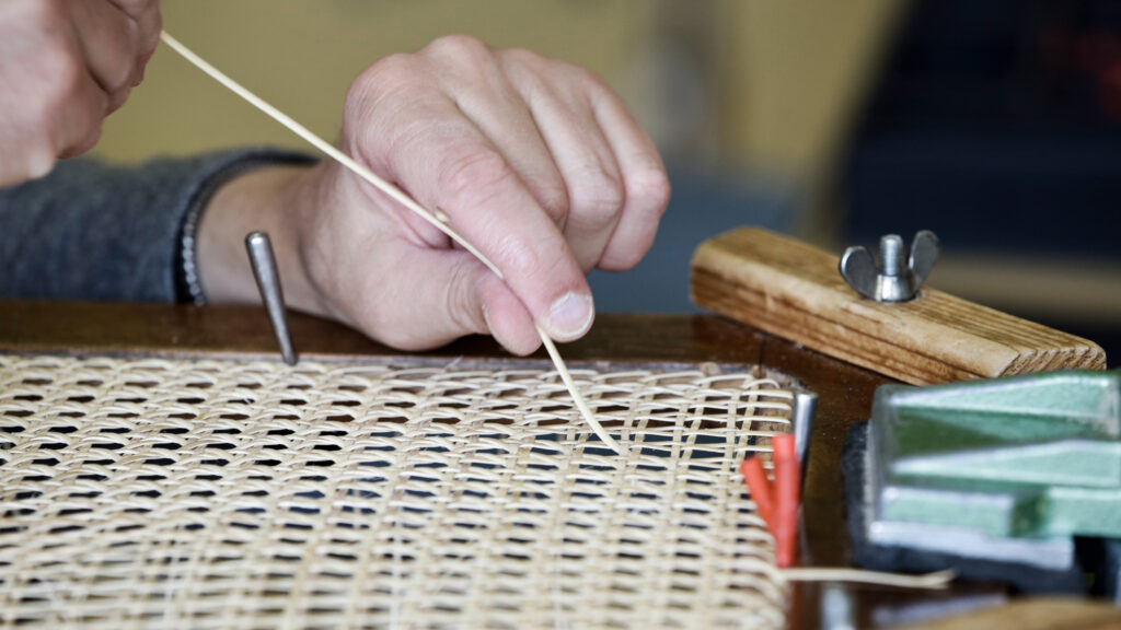 Detailaufnahme Flechten