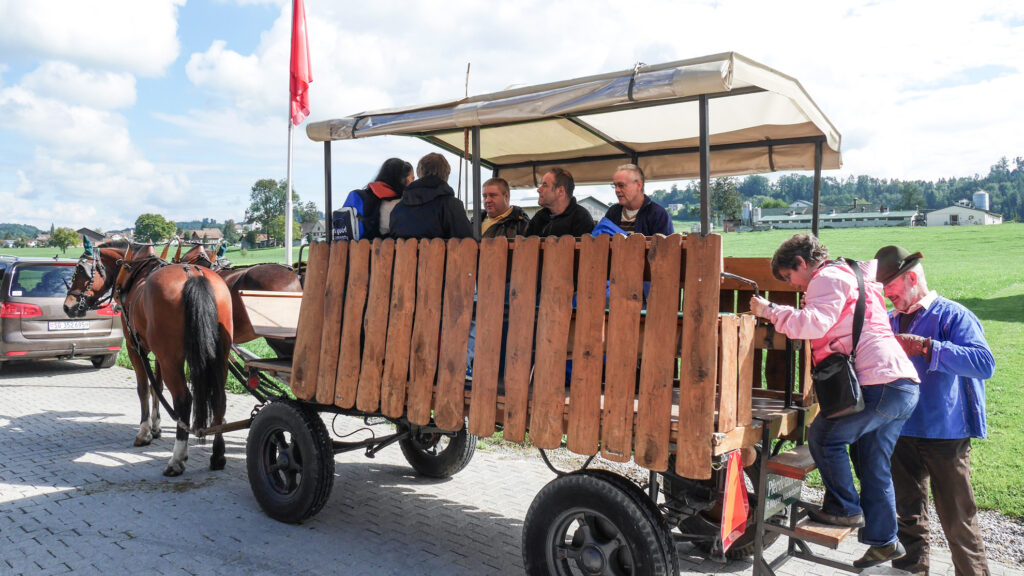 Ausflug der obvita-Wohngruppe mit Pferde-Planwagen